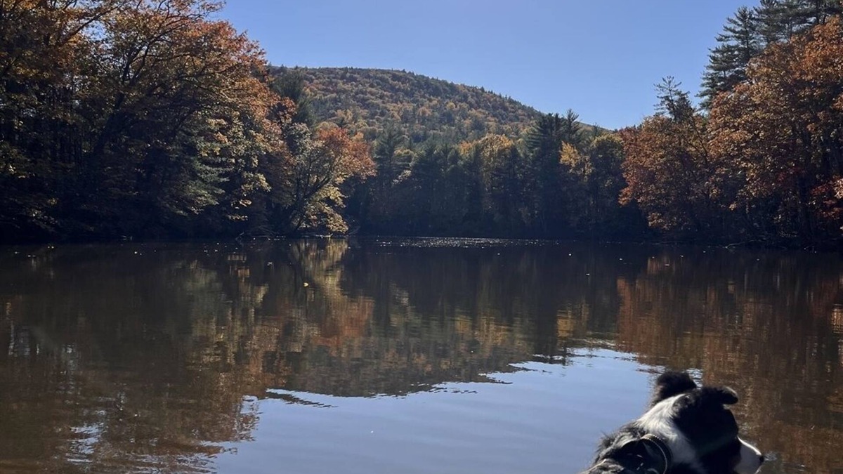 Hiram House | DIRECTLY ON THE SACO RIVER. 5500' of Frontage