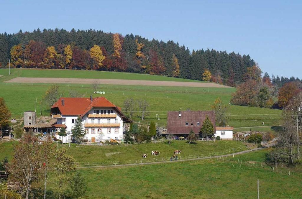 Biederbach House | Dischhof