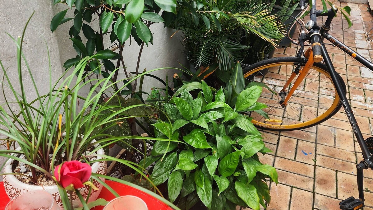 Imhak-dong House | Disco PangPang GuestHouse