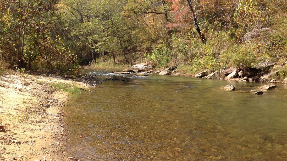 Boswell Cabin | DISCOUNTED! WATERFRONT CABIN-PINEY CREEK PRIME SPOT Swim/Fish/Play-Kids LUV it!