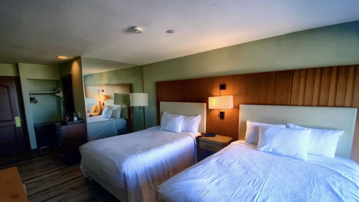 Mount Charleston Hotel | Discover Nature’s Beauty – Free Parking, Pet-Friendly, and All-Season Fun