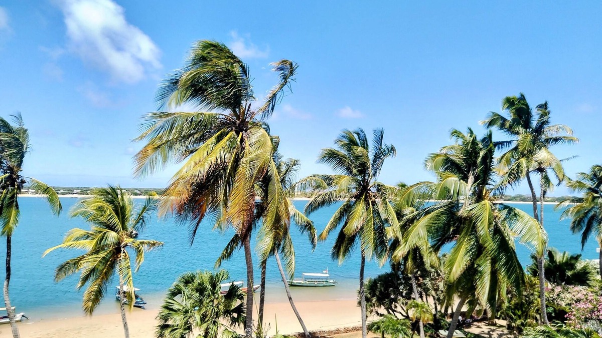 Lamu Apartment | Discover Shela Bliss: Your Family Haven in Lamu's Enchanting Archipelago