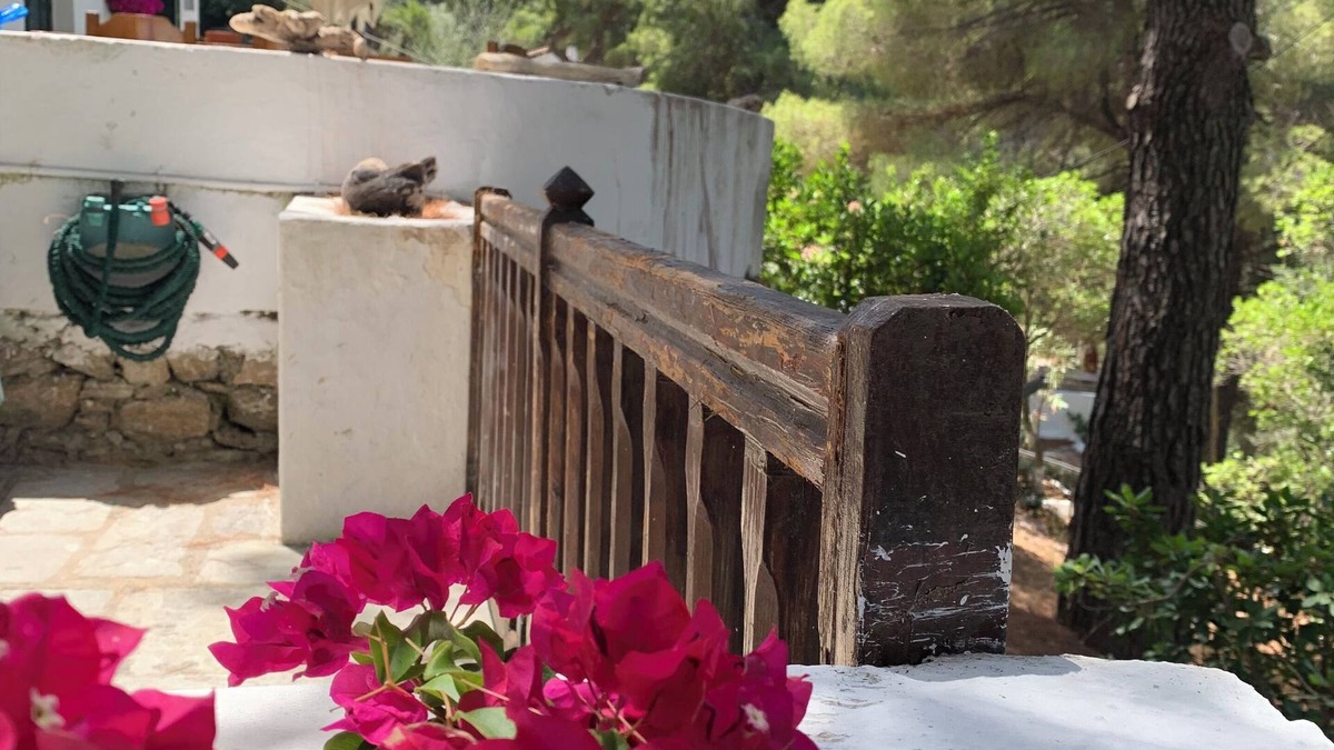 Kanapitsa Villa | Discover Your Enchanting Retreat in Villa Rhodos Skiathos