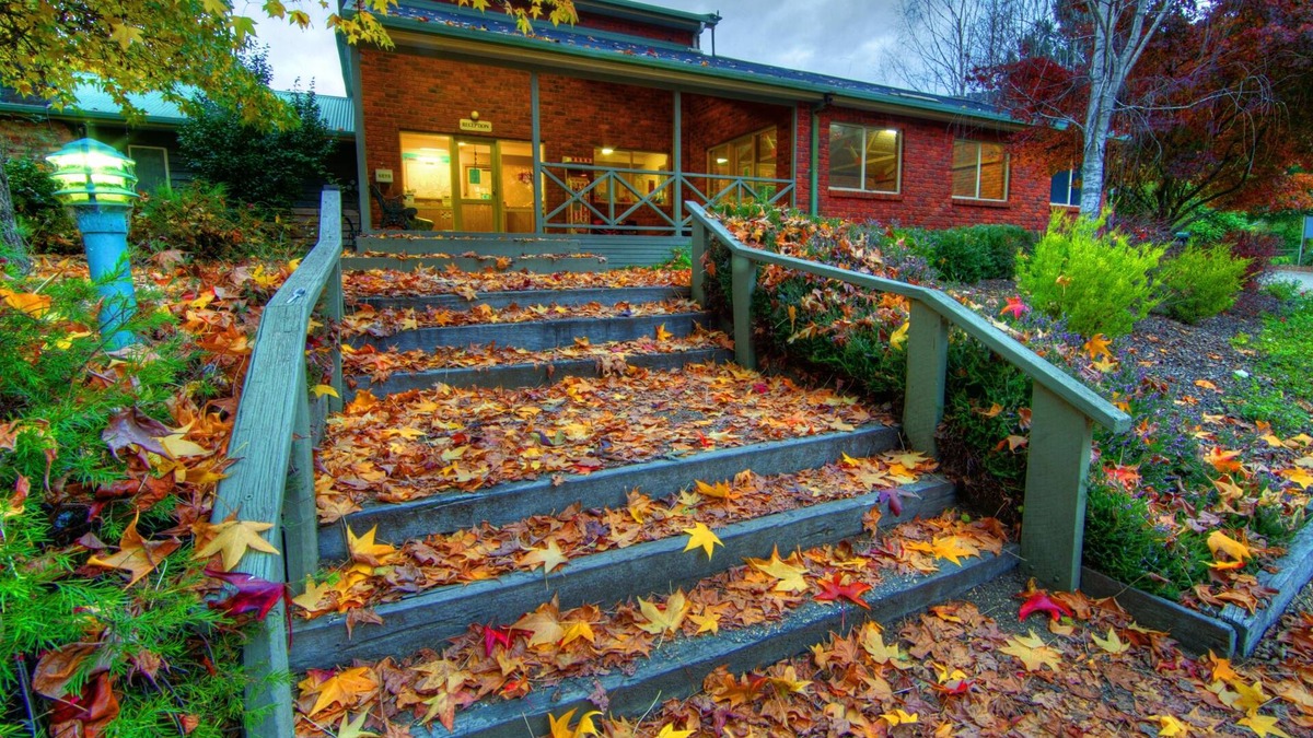 Freeburgh Cabin | Discovery Parks - Bright