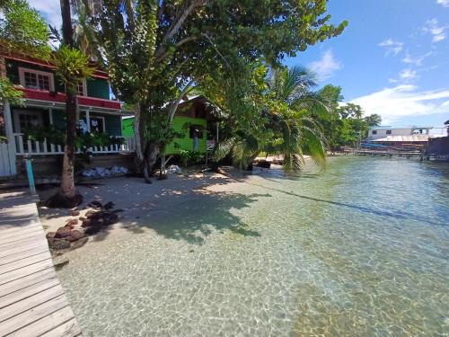 Carenero Island Apartment | Dive and Surf 3
