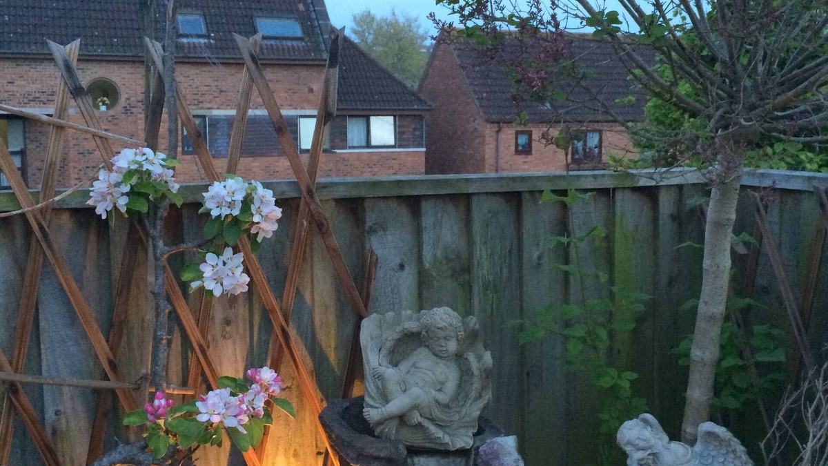 Glastonbury Apartment | Divine Light Centre In Glastonbury, Isle Of Avalon, Land Of King Arthur.