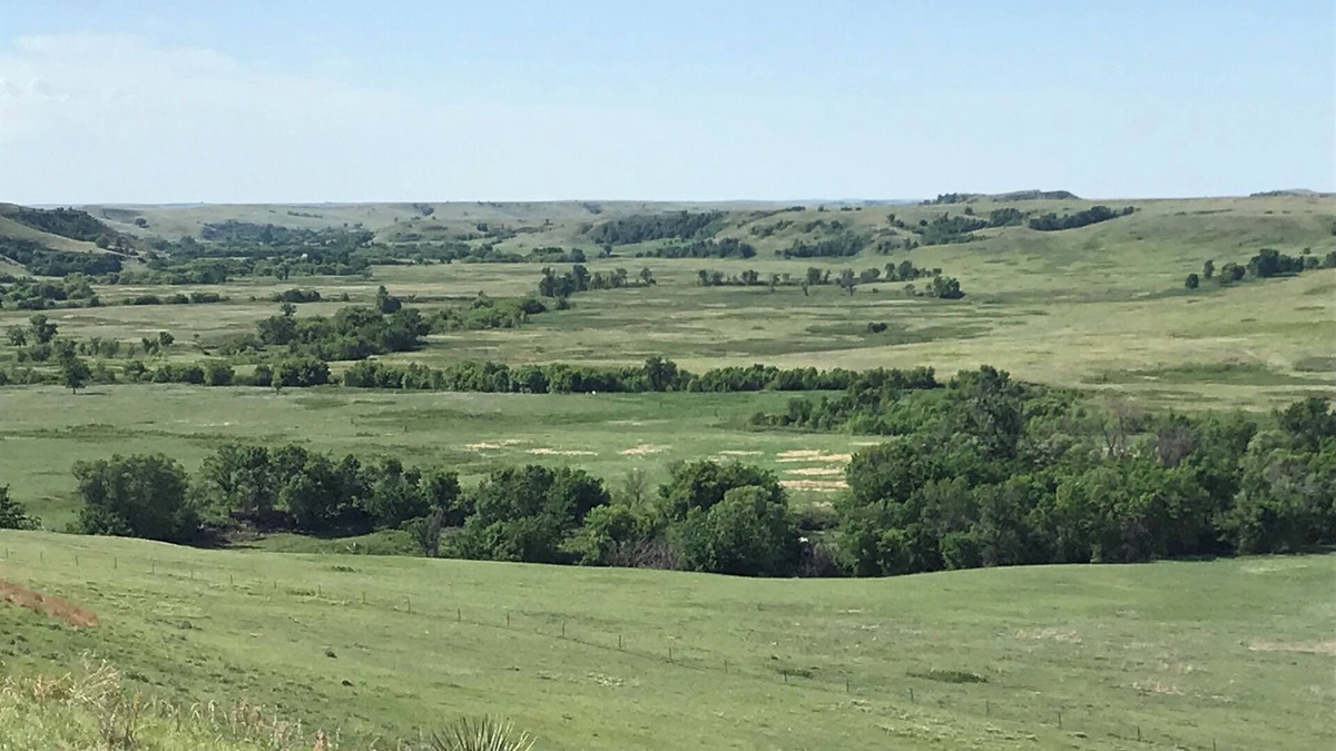 Firesteel House | DIY Family run Farm ranch hunts. Pheasants and Prariedog’s.