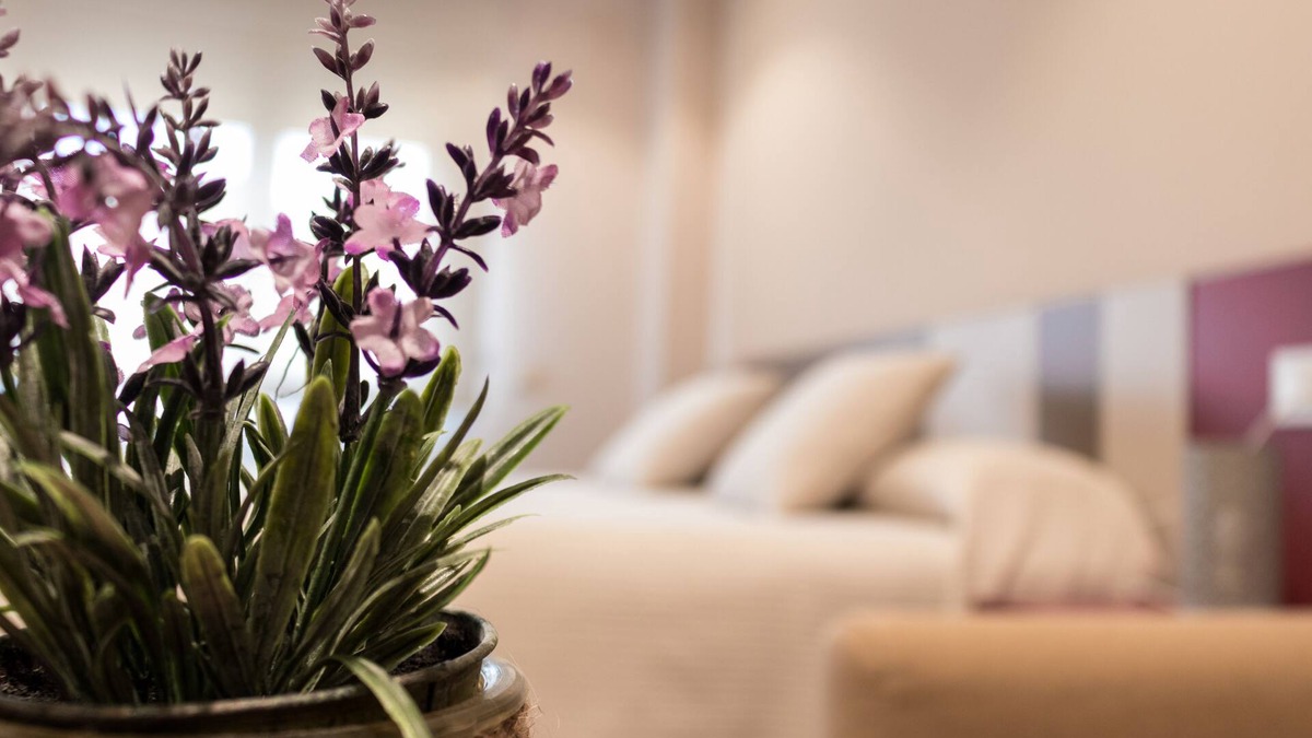 Daimiel Apartment | DOÑA MANUELA STUDIO