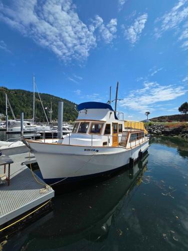 Rosario Boat Rental | Dockside Boat Rental Suite Rosario Ocean Views