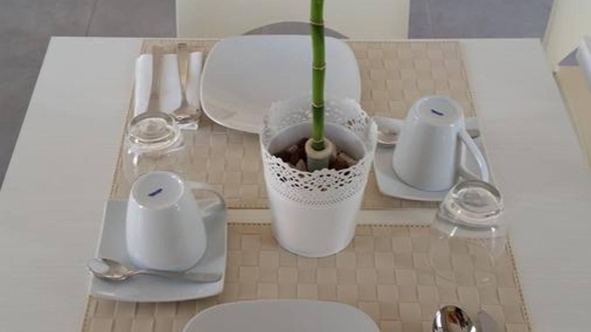 Nocera Inferiore Bed & Breakfast | Dodo House Bed & Breakfast