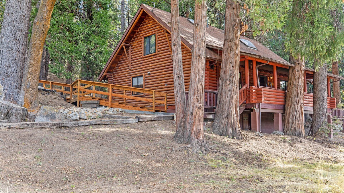 Pine Cove Cabin | Dog-friendly cabin in the woods with WiFi, wood stove, and private washer/dryer