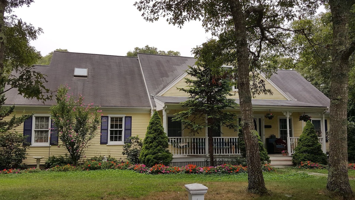 Cotuit Apartment | Dog friendly, Clean Studio with Separate Entrance 2.4 miles to Beach