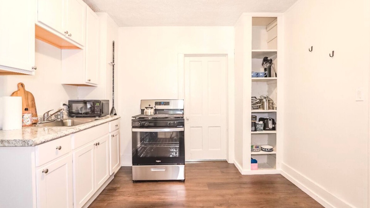 Lakewood Apartment | Dog-Friendly King Suites in Historic Birdtown