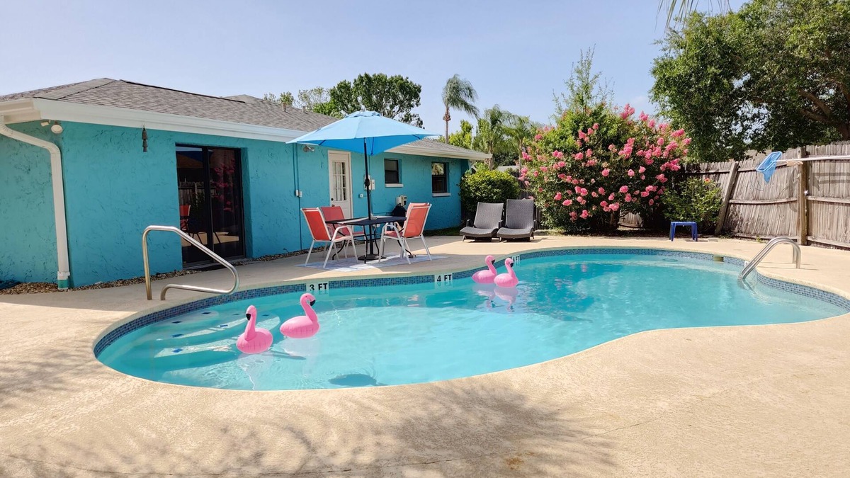 Oldsmar House | DOG friendly pool home close to the BEACH!