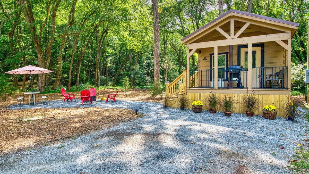 Otto Cabin | Dog-friendly riverfront cabin with mtn & river views, firepit, grill, patio, W/D