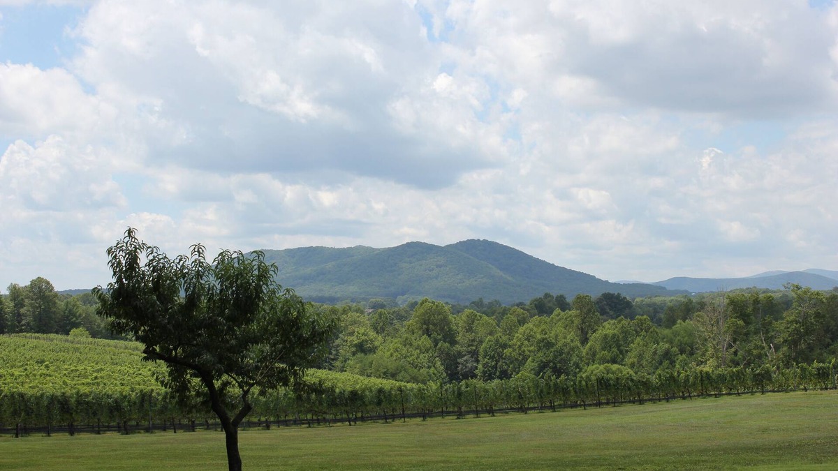 Mount Airy House | Dog Friendly Vacation House/Cabin at a Winery & Vineyard !