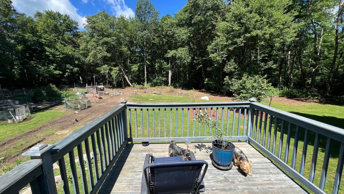 Hampton Other | Dog lover’s retreat with acres to roam, farm animals, and plenty to explore!