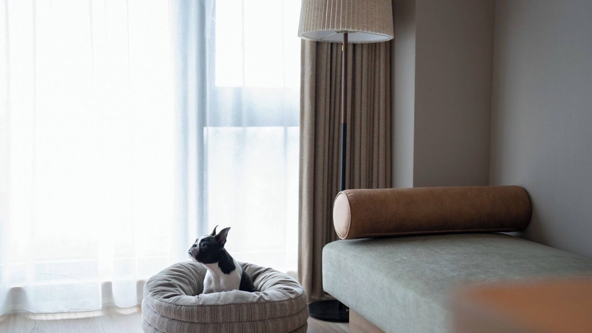 Manazuru Hotel | Dog room with ocean view Dinner and breakfast fe/Ashigarashimo-gun Kanagawa