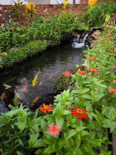 Vang Vieng Resort | Dok Champa Resort