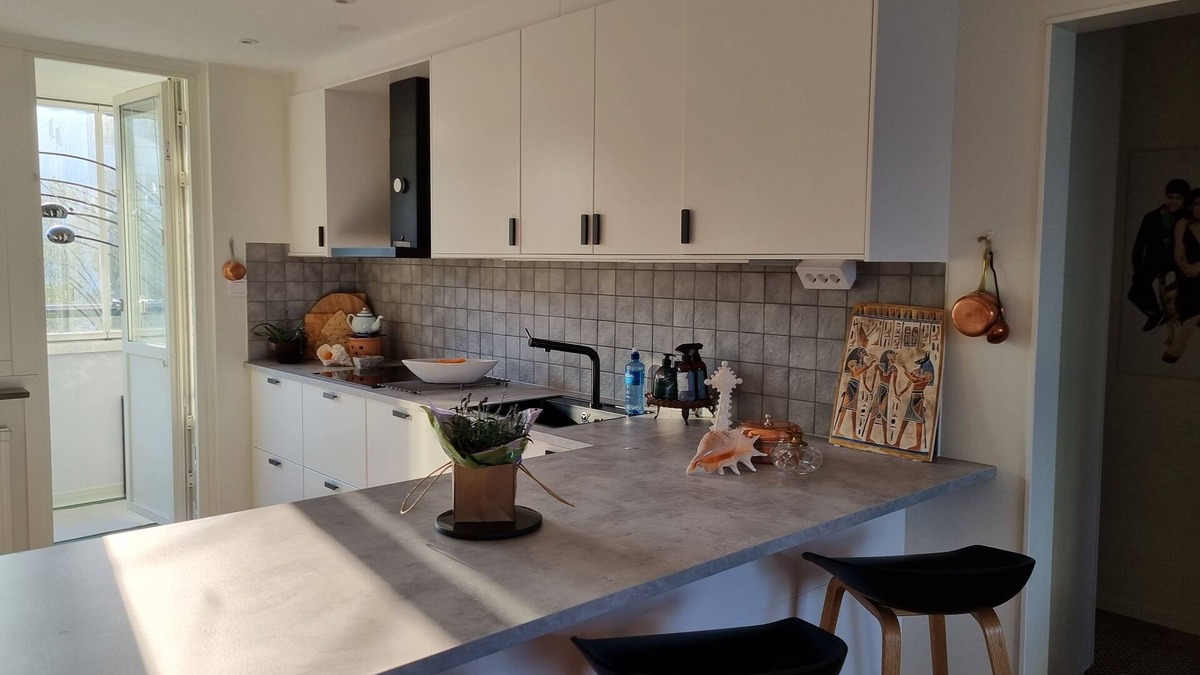 Centrum Apartment | Doktor Forselius Gata 16