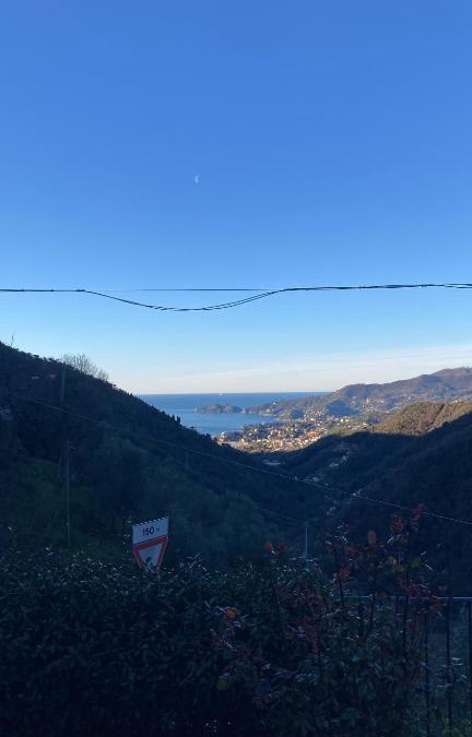 Rapallo Apartment | Dolce Casa da Roby e Andrea by PortofinoVacanze