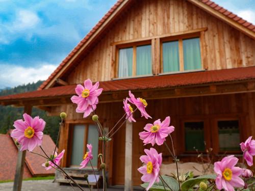 Comeglians Resort | Dolomiti Village