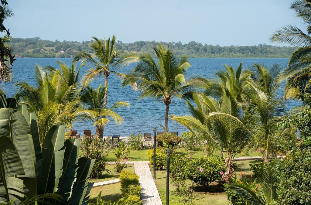 Bocatorito Hotel | Dolphin Blue Paradise