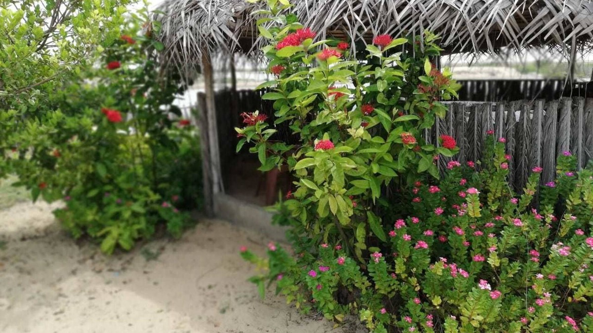 Kandakuliya House | dolphin wadiya