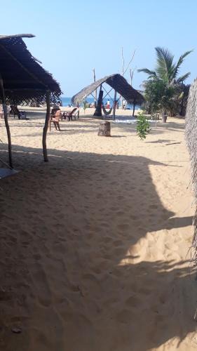 Alankuda Hotel | Dolphinchilling
