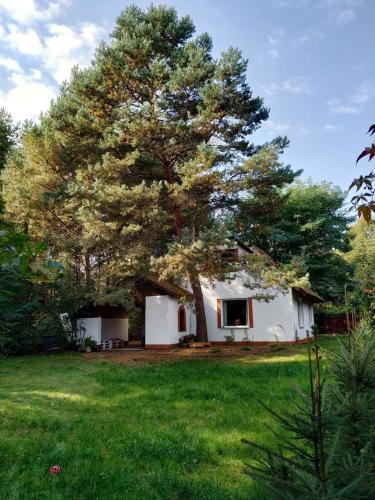 Osie House | Dom letniskowy w Borach Tucholskich