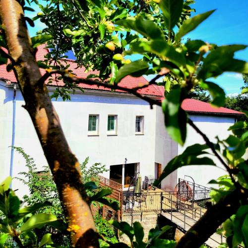 Lubawka House | Dom nad potokiem Opawa, na wyłączność, Karpacz, Opawa