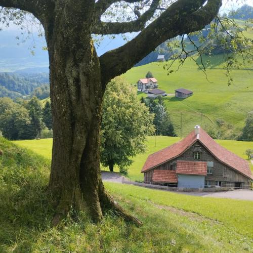 Eschenbach House | Dom wiejski Artur