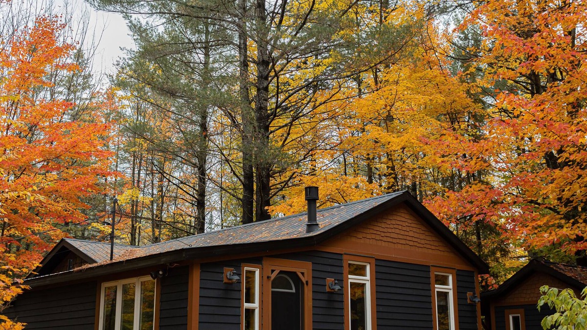 Utterson Cabin | Doma Lodge - Cozy Muskoka Cabin in the Woods