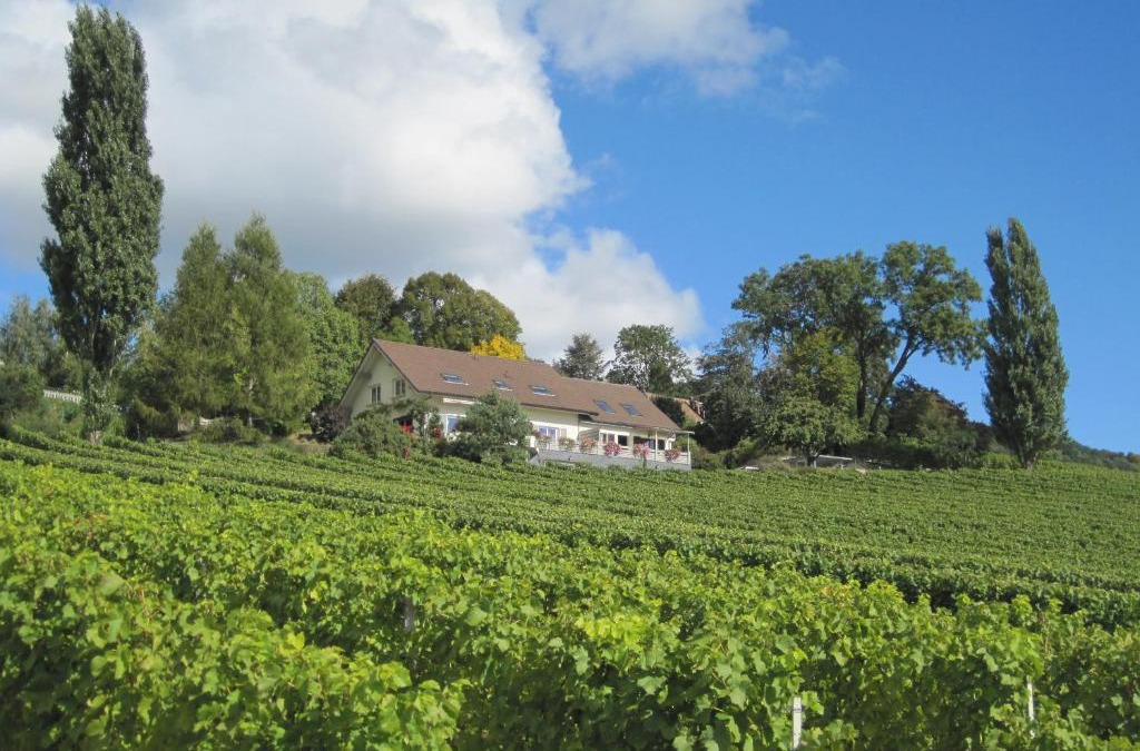 Essertines-sur-Rolle House | Domaine Beauregard