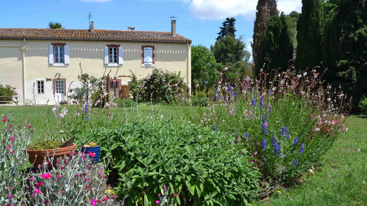 Mazerolles-du-Razes House | Domaine de Buscail, Bois de Py, swimming pool, park and gardens, magnificent views.