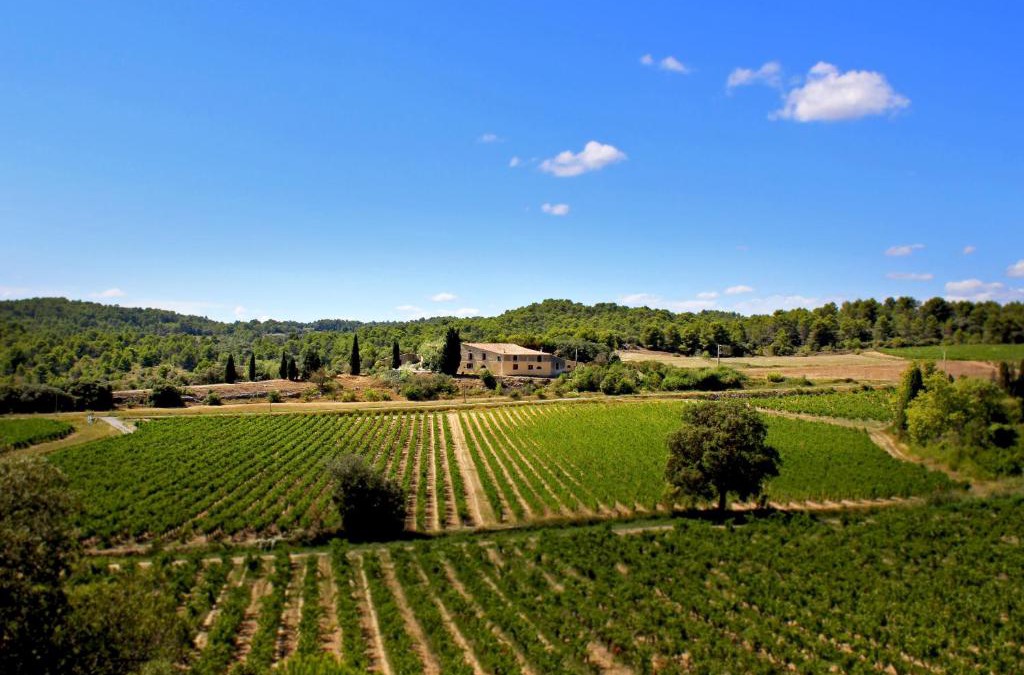 Laure-Minervois House | Domaine de Palats