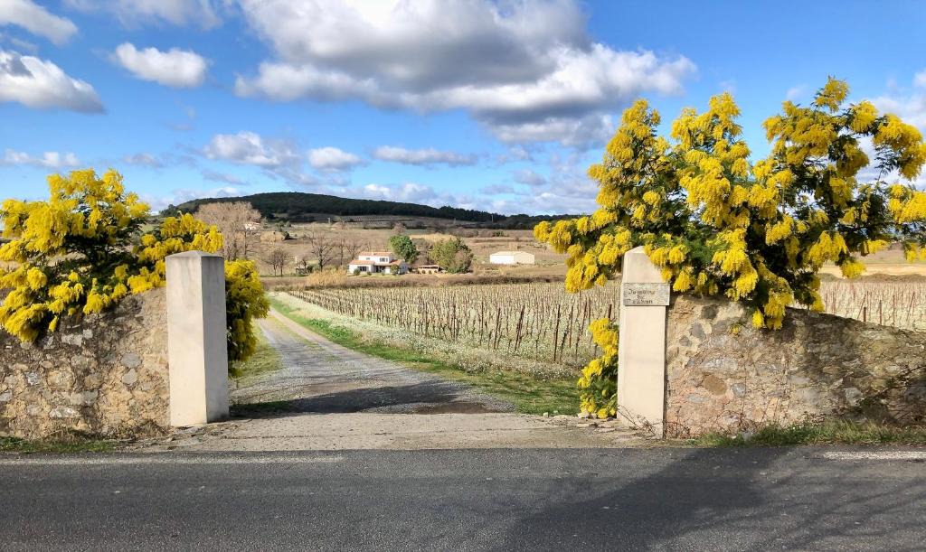 Roujan Bed & Breakfast | Domaine de Peilhan