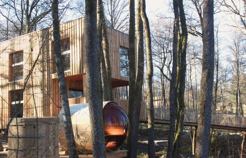 Saint-Nabord House | Domaine de Ribeaugoutte