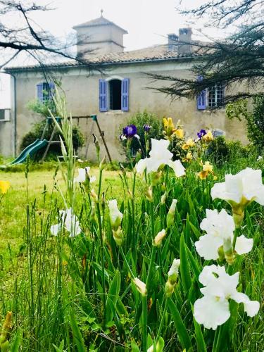 Sauve Hotel | Domaine Mas Pigné