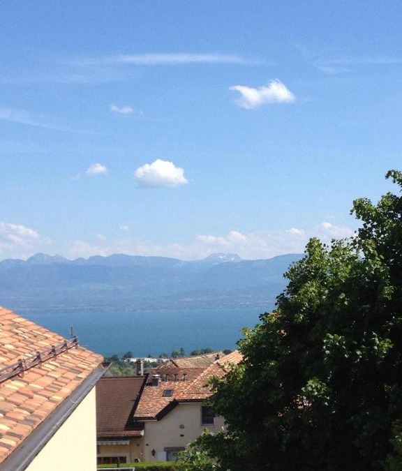 Tartegnin Bed & Breakfast | Domaine Viticole