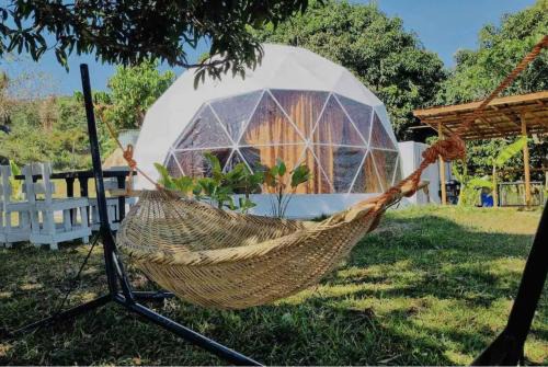 Bacnotan Other | Dome tent in Elyu will Pool Access for 10 pax
