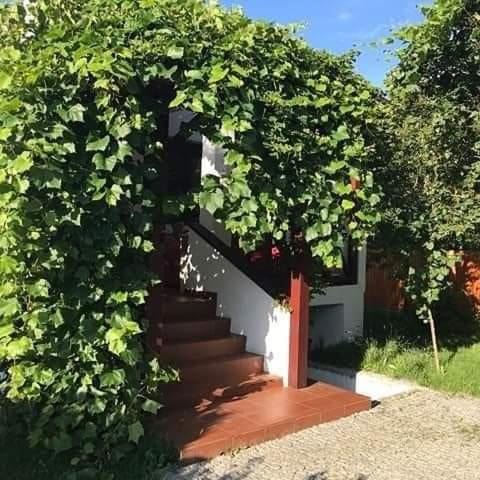 Warta House | Domek Cicho Sza