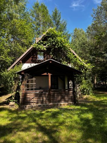 Swietajno Ski Chalet | Domek letniskowy na Mazurach