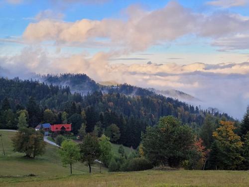 Piwniczna-Zdroj House | Domek na Obidzy