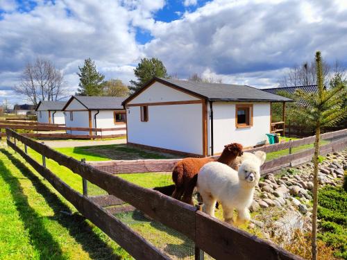 Lapalice House | Domek na Słonecznikowej