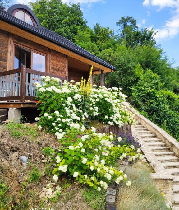 gmina Szczebrzeszyn Apartment | Domek nad chrząszczem