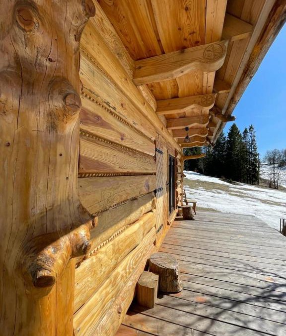 Rycerka Gorna Ski Chalet | Domek Oźna płoscyna