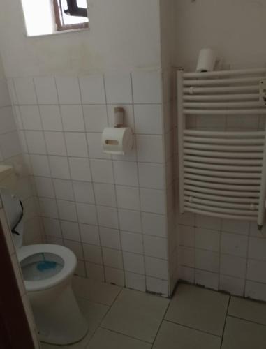 Vamberk House | Domek u lesa
