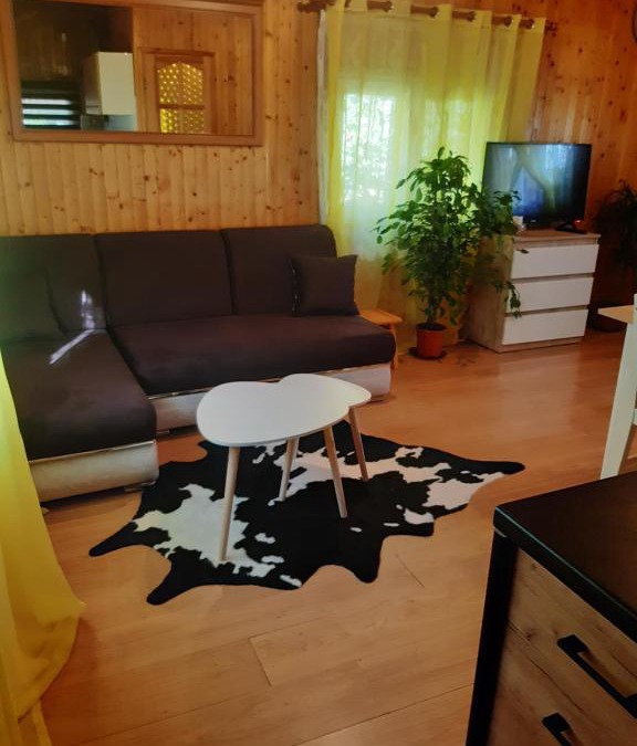 gmina Baruchowo House | Domek u Prezesa