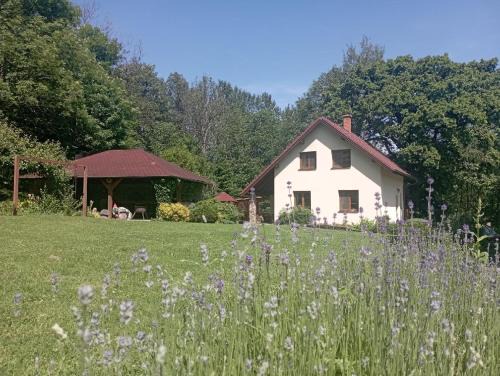 Zirov House | Domek v osadě Kladiny